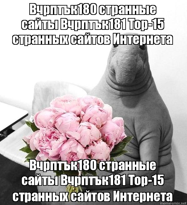 Kraken новая ссылка